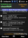 Clean Ram V2.5