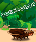 Cockroach