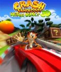 Crash Bandicoot3d