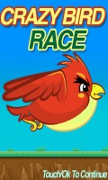 Crazy Bird Race   100 Free Bird Race