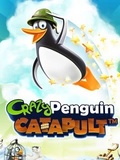 Crazy Penguin