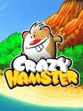 Crazy hamster mobile app for free download