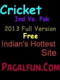 Cricket Cup 2013
