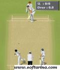 Cricket Fever   3d Game