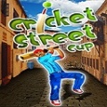 Cricket Street Cup 128x128 mobile app for free download