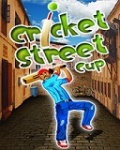 Cricket Street Cup 128x160 mobile app for free download