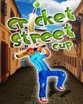 Cricket Street Cup 176x220 mobile app for free download