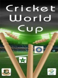 Cricket World Cup