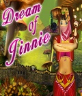 Dream Of Jinnie 176x208 mobile app for free download