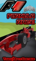 F1 Formula Race