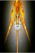 Flash Light