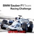 FORMULA BMW RACING mobile app for free download