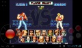 Fatal Fury Special