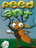 Feed Ant 240x320