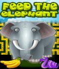 Feed The Elephant 176x208