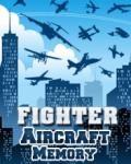 Fighter Aircraft Memory 176x220