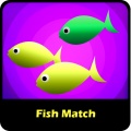 Fish Match