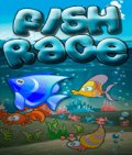 Fish Race 176x208