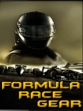 Formula Race Gear   Free