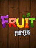 Fruit Ninja Touchscreen 240320
