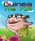 Guinea the pig (176x208) mobile app for free download