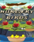 Hungry Birds