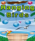 Hanging Birds