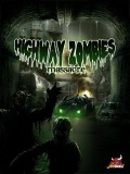 Highway Zombie