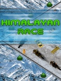 Himalayan Race