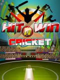 Hit N Win Cricket  240x320