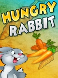 Hungry Rabbit   Free Download mobile app for free download