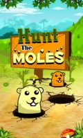 Hunt The Moles