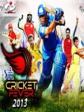 Ipl 2013