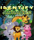 Identify Animal 176x208