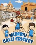Indian Cricket mobile app for free download