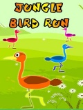 Jungle Bird Run