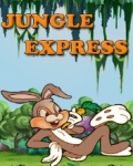 Jungle Express   Free Game