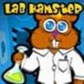 Lab Hamster