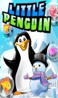 Little Penguin   Free Game240x400