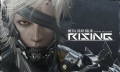 Metal Gear  Rising