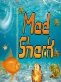 Mad Shark