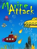 Marine Attack