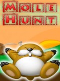 Mole Hunt