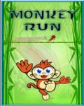 Monkey Run