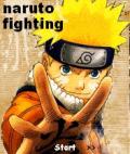 Naruto Fighting