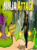 Ninja Attack