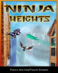 Ninja Heights