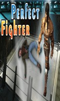 Perfect Fighter Perfect Fighter
