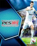 Pes 2013 176x220