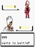 Pokemon Topaz Silver Hack